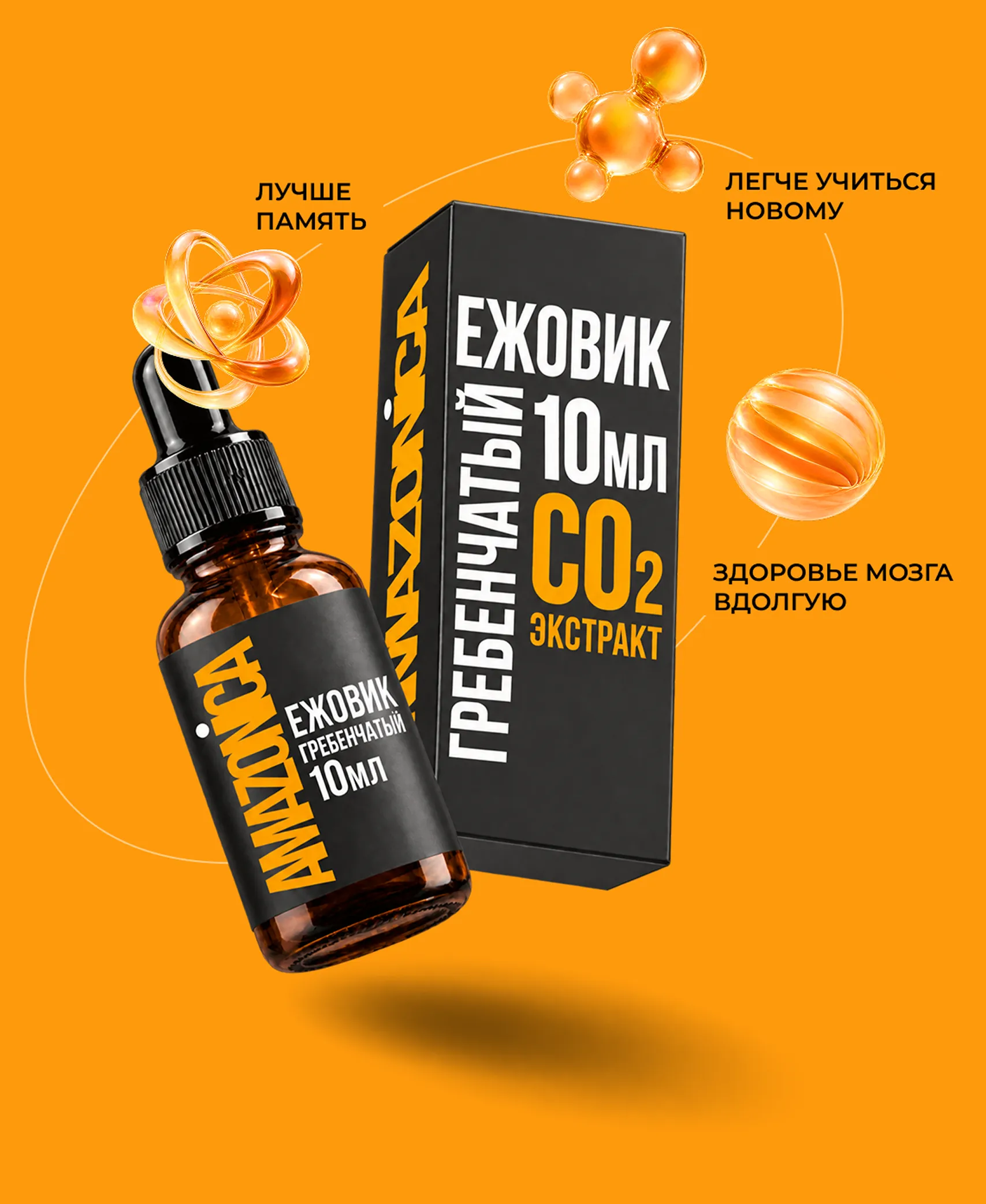 Ezhovik grebenchatyy Amazonica — изображение товара